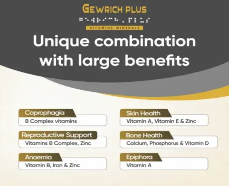 Wellcon Gewrich Plus Vitamin & Mineral Tablets for Dogs and Cats, 50 Tablets at ithinkpets.com 2