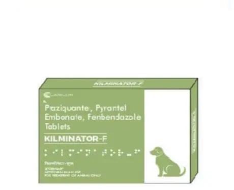 Wellcon Kilminator F Tablet Dewormer for Dogs, 10 Tablets at ithinkpets.com 1 (1)
