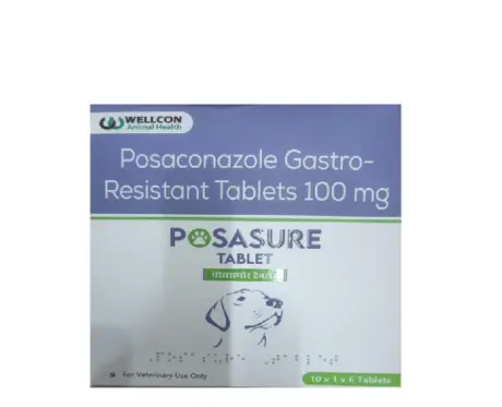 Wellcon Posasure Tablet (Posaconazole 100 MG), Gastro Resistant for Dogs, 6 Tablets at ithinkpets.com 1 (2)