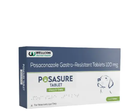 Wellcon Posasure Tablet (Posaconazole 100 MG), Gastro Resistant for Dogs, 6 Tablets at ithinkpets.com 1 (3) (1)