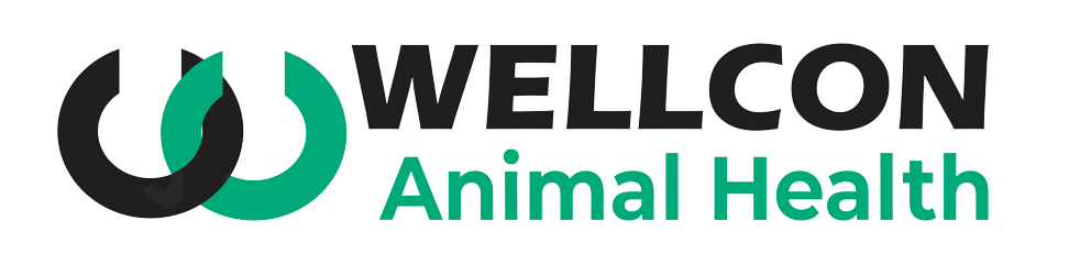wellcon-logo