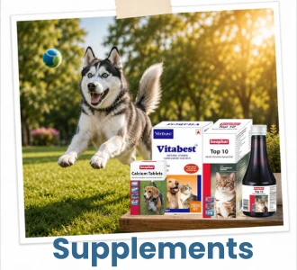 Pet Supplements