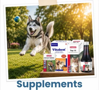 Pet health supplements including vitamins probiotics and wellness products