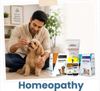 Homeopathic medicines for dogs and cats