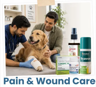 Support faster recovery for Pets